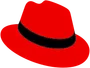 Red Hat Partner Program member for enterprise Linux solutions